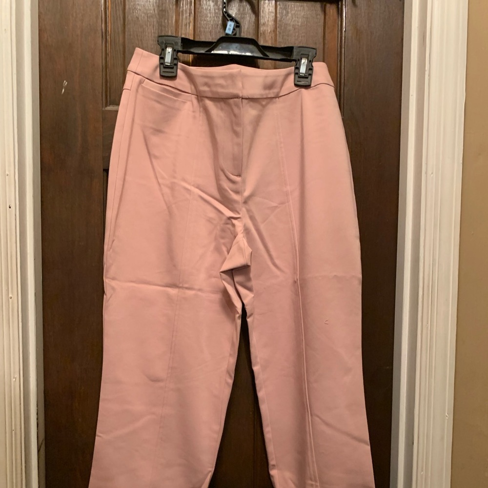 Womens Light Pink Size 6 Petite Stretch Pants: Norm Thompson (NEW)